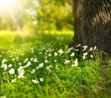 Tavaszi-nyári csapatépítés